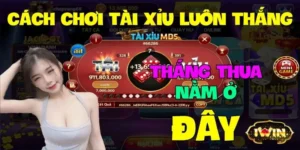 Cách Chơi Tài Xỉu Luôn Thắng – Chiến Thuật Tăng Tỷ Lệ Thắng 80%