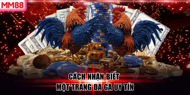 Cách nhận biết một trang đá gà uy tín