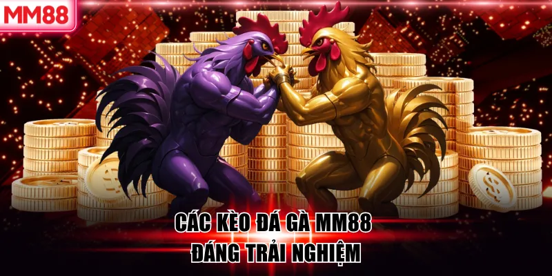 Đá Gà MM88 – Đấu Trường Cược Gà Trực Tuyến Đẳng Cấp Châu Á 7 Các kèo đá gà MM88 đáng trải nghiệm
